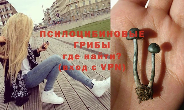 дурь Заволжье